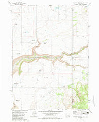 Brewster Reservoir Oregon Historical topographic map, 1:24000 scale, 7.5 X 7.5 Minute, Year 1980