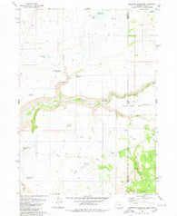 Brewster Reservoir Oregon Historical topographic map, 1:24000 scale, 7.5 X 7.5 Minute, Year 1980