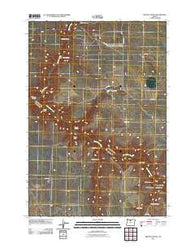 Bronx Canyon Oregon Historical topographic map, 1:24000 scale, 7.5 X 7.5 Minute, Year 2011