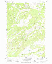 Brown Creek Oregon Historical topographic map, 1:24000 scale, 7.5 X 7.5 Minute, Year 1974