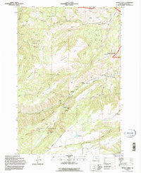 Brown Creek Oregon Historical topographic map, 1:24000 scale, 7.5 X 7.5 Minute, Year 1994