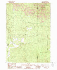 Brown Mountain Oregon Historical topographic map, 1:24000 scale, 7.5 X 7.5 Minute, Year 1988