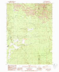 Brown Mountain Oregon Historical topographic map, 1:24000 scale, 7.5 X 7.5 Minute, Year 1988