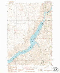 Brownlee Dam Oregon Historical topographic map, 1:24000 scale, 7.5 X 7.5 Minute, Year 1987