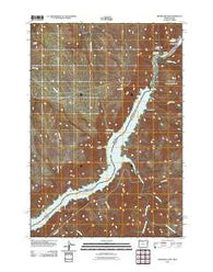 Brownlee Dam Oregon Historical topographic map, 1:24000 scale, 7.5 X 7.5 Minute, Year 2011