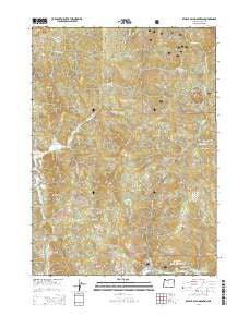 Brushy Bald Mountain Oregon Current topographic map, 1:24000 scale, 7.5 X 7.5 Minute, Year 2014