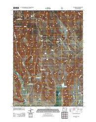 Buchanan Oregon Historical topographic map, 1:24000 scale, 7.5 X 7.5 Minute, Year 2011