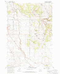 Buck Butte Oregon Historical topographic map, 1:24000 scale, 7.5 X 7.5 Minute, Year 1985
