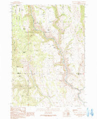 Buck Trough Spring Oregon Historical topographic map, 1:24000 scale, 7.5 X 7.5 Minute, Year 1990