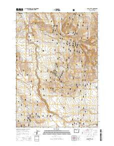 Buck Butte Oregon Current topographic map, 1:24000 scale, 7.5 X 7.5 Minute, Year 2014