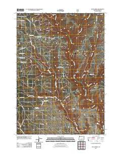 Buck Spring Oregon Historical topographic map, 1:24000 scale, 7.5 X 7.5 Minute, Year 2011