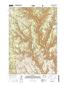 Buck Spring Oregon Current topographic map, 1:24000 scale, 7.5 X 7.5 Minute, Year 2014