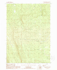 Buckhorn Springs Oregon Historical topographic map, 1:24000 scale, 7.5 X 7.5 Minute, Year 1988