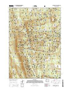 Buckhorn Springs Oregon Current topographic map, 1:24000 scale, 7.5 X 7.5 Minute, Year 2014