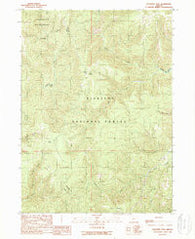 Buckskin Peak Oregon Historical topographic map, 1:24000 scale, 7.5 X 7.5 Minute, Year 1989