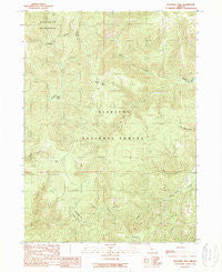 Buckskin Peak Oregon Historical topographic map, 1:24000 scale, 7.5 X 7.5 Minute, Year 1989