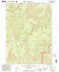 Buckskin Peak Oregon Historical topographic map, 1:24000 scale, 7.5 X 7.5 Minute, Year 1996