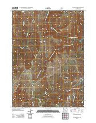 Buckskin Peak Oregon Historical topographic map, 1:24000 scale, 7.5 X 7.5 Minute, Year 2011