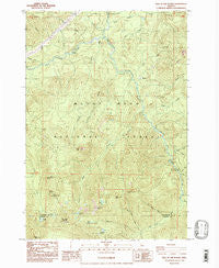 Bull of The Woods Oregon Historical topographic map, 1:24000 scale, 7.5 X 7.5 Minute, Year 1985
