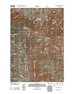 Bullrun Rock Oregon Historical topographic map, 1:24000 scale, 7.5 X 7.5 Minute, Year 2011