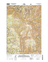 Bullrun Rock Oregon Current topographic map, 1:24000 scale, 7.5 X 7.5 Minute, Year 2014