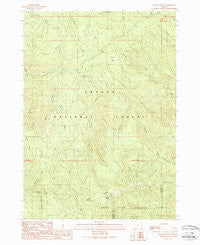 Butler Butte Oregon Historical topographic map, 1:24000 scale, 7.5 X 7.5 Minute, Year 1989
