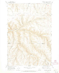 Buttermilk Canyon Oregon Historical topographic map, 1:24000 scale, 7.5 X 7.5 Minute, Year 1969