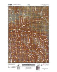 Buttermilk Canyon Oregon Historical topographic map, 1:24000 scale, 7.5 X 7.5 Minute, Year 2011