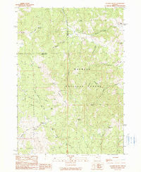 Calamity Butte Oregon Historical topographic map, 1:24000 scale, 7.5 X 7.5 Minute, Year 1990