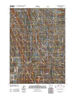 Calimus Butte Oregon Historical topographic map, 1:24000 scale, 7.5 X 7.5 Minute, Year 2011