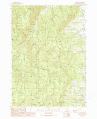 Callahan Oregon Historical topographic map, 1:24000 scale, 7.5 X 7.5 Minute, Year 1990