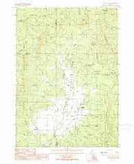 Camas Valley Oregon Historical topographic map, 1:24000 scale, 7.5 X 7.5 Minute, Year 1990