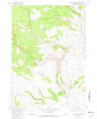 Camp Currey Spring Oregon Historical topographic map, 1:24000 scale, 7.5 X 7.5 Minute, Year 1981