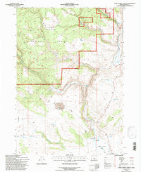 Camp Currey Spring Oregon Historical topographic map, 1:24000 scale, 7.5 X 7.5 Minute, Year 1992