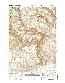 Camp Currey Spring Oregon Current topographic map, 1:24000 scale, 7.5 X 7.5 Minute, Year 2014