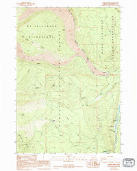 Candle Creek Oregon Historical topographic map, 1:24000 scale, 7.5 X 7.5 Minute, Year 1988