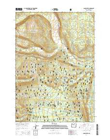 Candle Creek Oregon Current topographic map, 1:24000 scale, 7.5 X 7.5 Minute, Year 2014