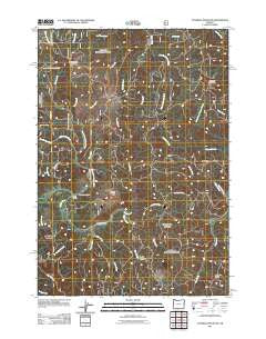 Cannibal Mountain Oregon Historical topographic map, 1:24000 scale, 7.5 X 7.5 Minute, Year 2011