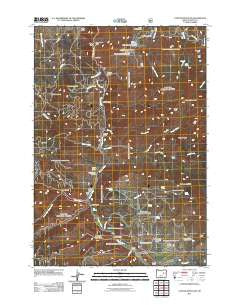 Canyon Mountain Oregon Historical topographic map, 1:24000 scale, 7.5 X 7.5 Minute, Year 2011