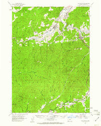 Canyonville Oregon Historical topographic map, 1:62500 scale, 15 X 15 Minute, Year 1954