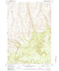 Carney Butte Oregon Historical topographic map, 1:24000 scale, 7.5 X 7.5 Minute, Year 1967