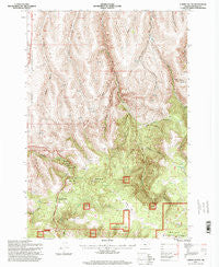 Carney Butte Oregon Historical topographic map, 1:24000 scale, 7.5 X 7.5 Minute, Year 1995