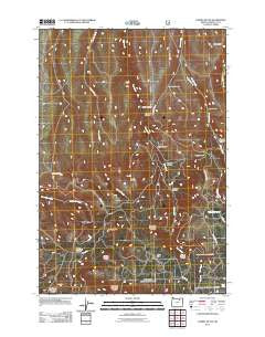 Carney Butte Oregon Historical topographic map, 1:24000 scale, 7.5 X 7.5 Minute, Year 2011