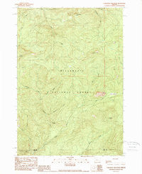 Carpenter Mountain Oregon Historical topographic map, 1:24000 scale, 7.5 X 7.5 Minute, Year 1989