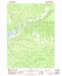 Cascade Gorge Oregon Historical topographic map, 1:24000 scale, 7.5 X 7.5 Minute, Year 1988