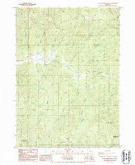 Cedar Springs Mtn Oregon Historical topographic map, 1:24000 scale, 7.5 X 7.5 Minute, Year 1986