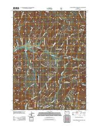 Cedar Springs Mountain Oregon Historical topographic map, 1:24000 scale, 7.5 X 7.5 Minute, Year 2011