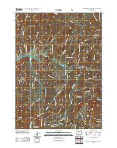 Cedar Springs Mountain Oregon Historical topographic map, 1:24000 scale, 7.5 X 7.5 Minute, Year 2011