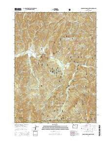Cedar Springs Mountain Oregon Current topographic map, 1:24000 scale, 7.5 X 7.5 Minute, Year 2014