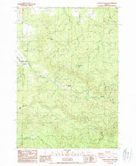Chandler Mountain Oregon Historical topographic map, 1:24000 scale, 7.5 X 7.5 Minute, Year 1988